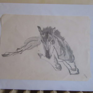 Poulain