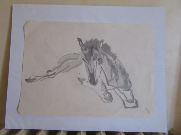 Poulain